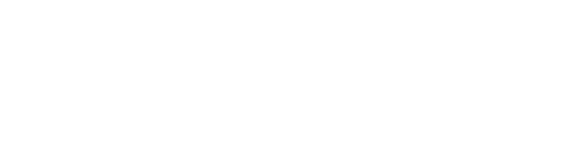 MindLabs MEETS